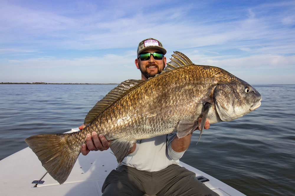 The Drum of Galveston Bay: A Symphony of the Sea